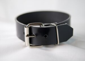 Classic Choker Belt