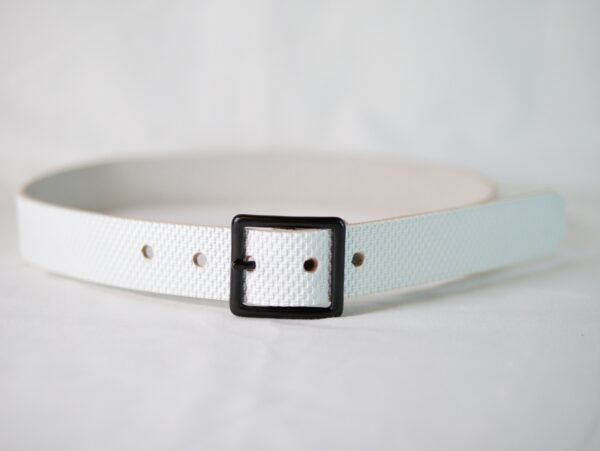 Snow Ermine - Image 3