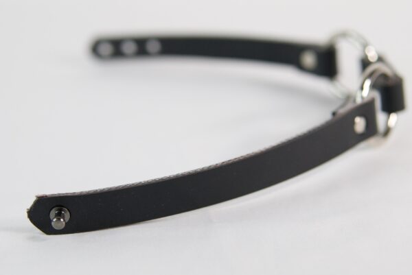 Janus Choker - Image 5