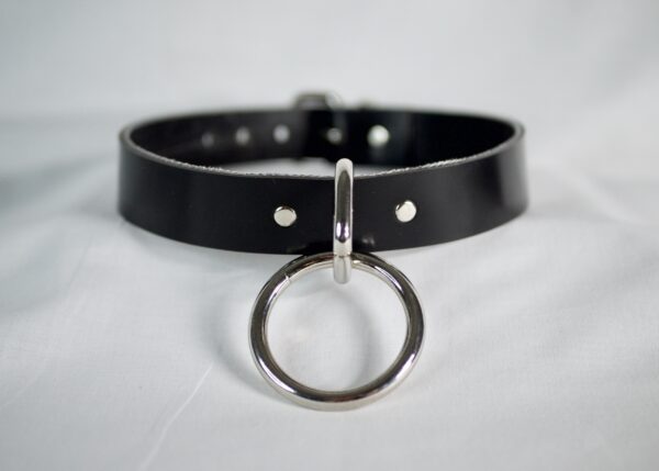 Barbary Harness - Image 5