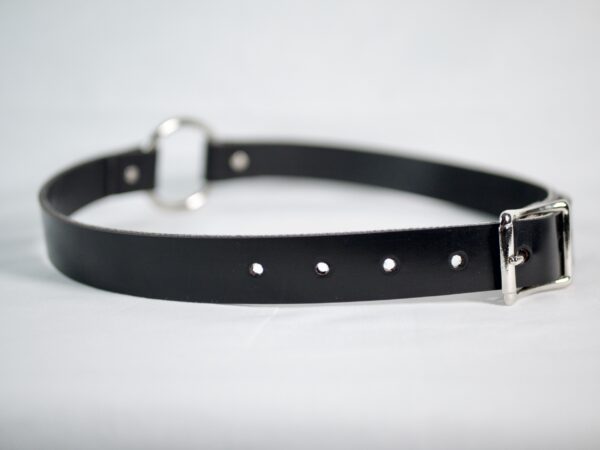 Barbary Belt - Image 3