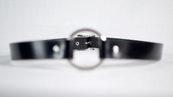 Barbary Belt - Image 5