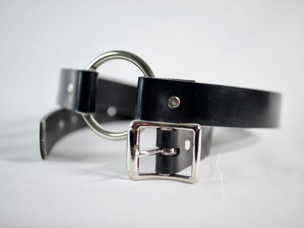 Barbary Harness - Image 4