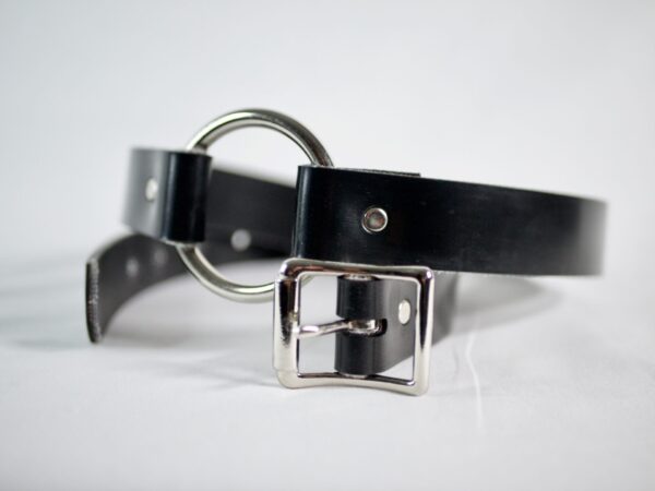Barbary Harness - Image 4
