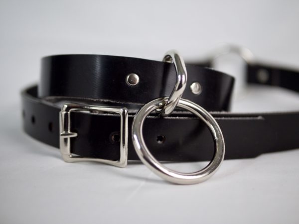 Barbary Harness