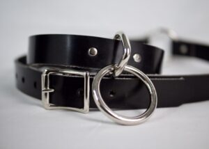 Barbary Harness