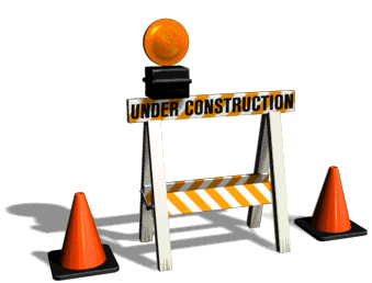 Website Makeover Underway and the New LLC is Official